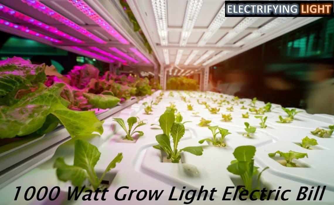 1000-watt-grow-light-electric-bill