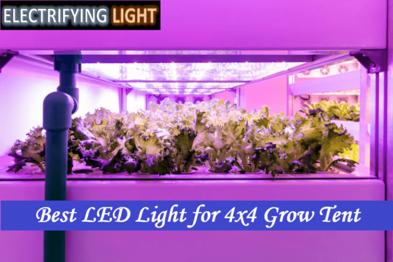 Best-LED-Light-for-4x4-grow-tent