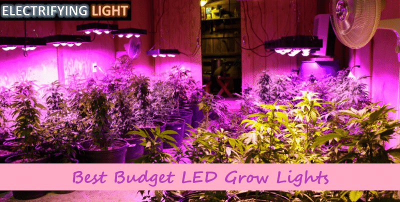 Best-budget-led-grow-light