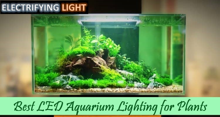 Feature-Photo-of-best-led-aquarium-lighting-for-plants
