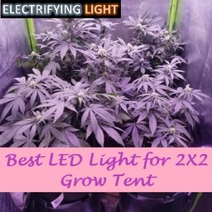 Best led light for 2X2 grow tent 2023 (Updated)