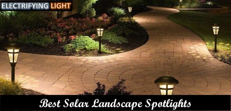 best-solar-landscape-spotlights